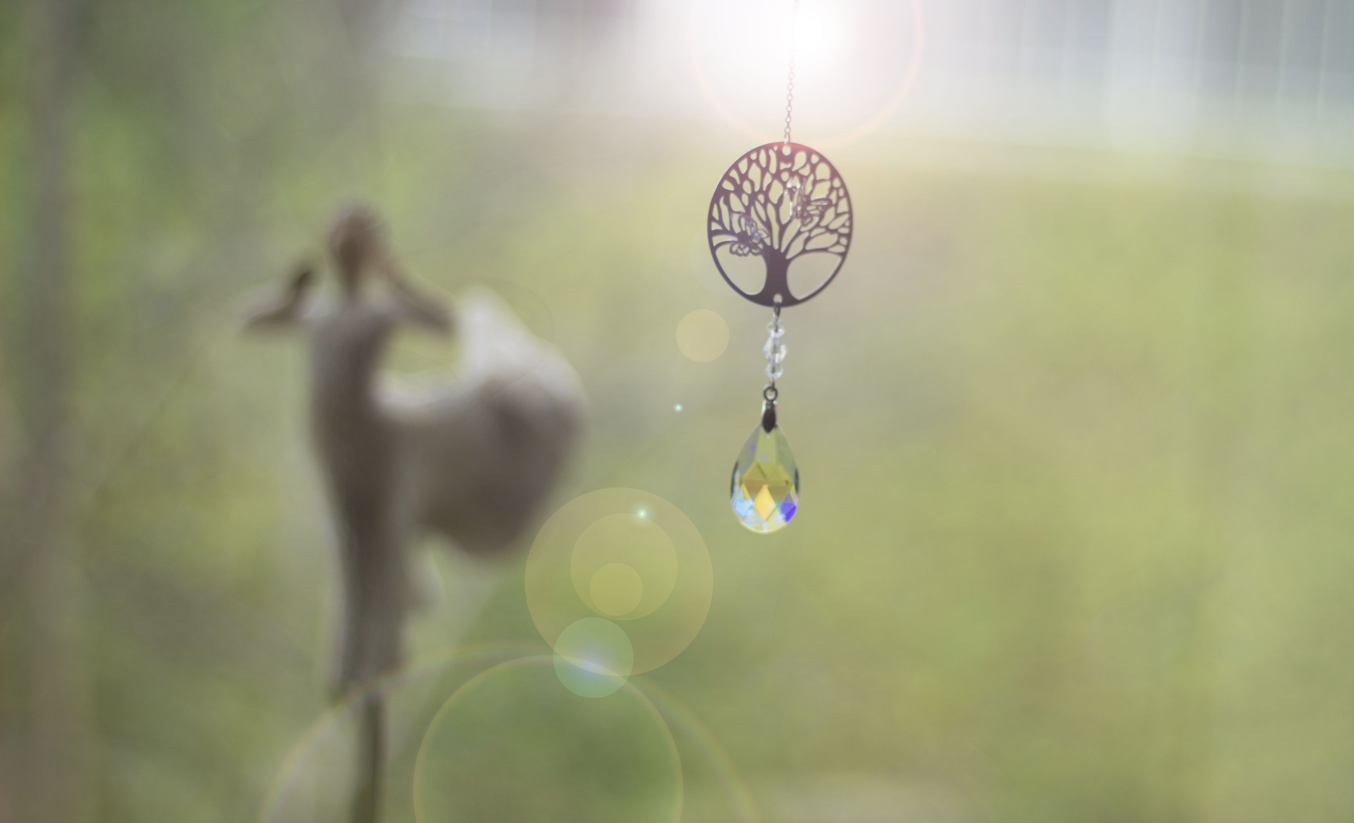 Letting Go and Choosing Joy