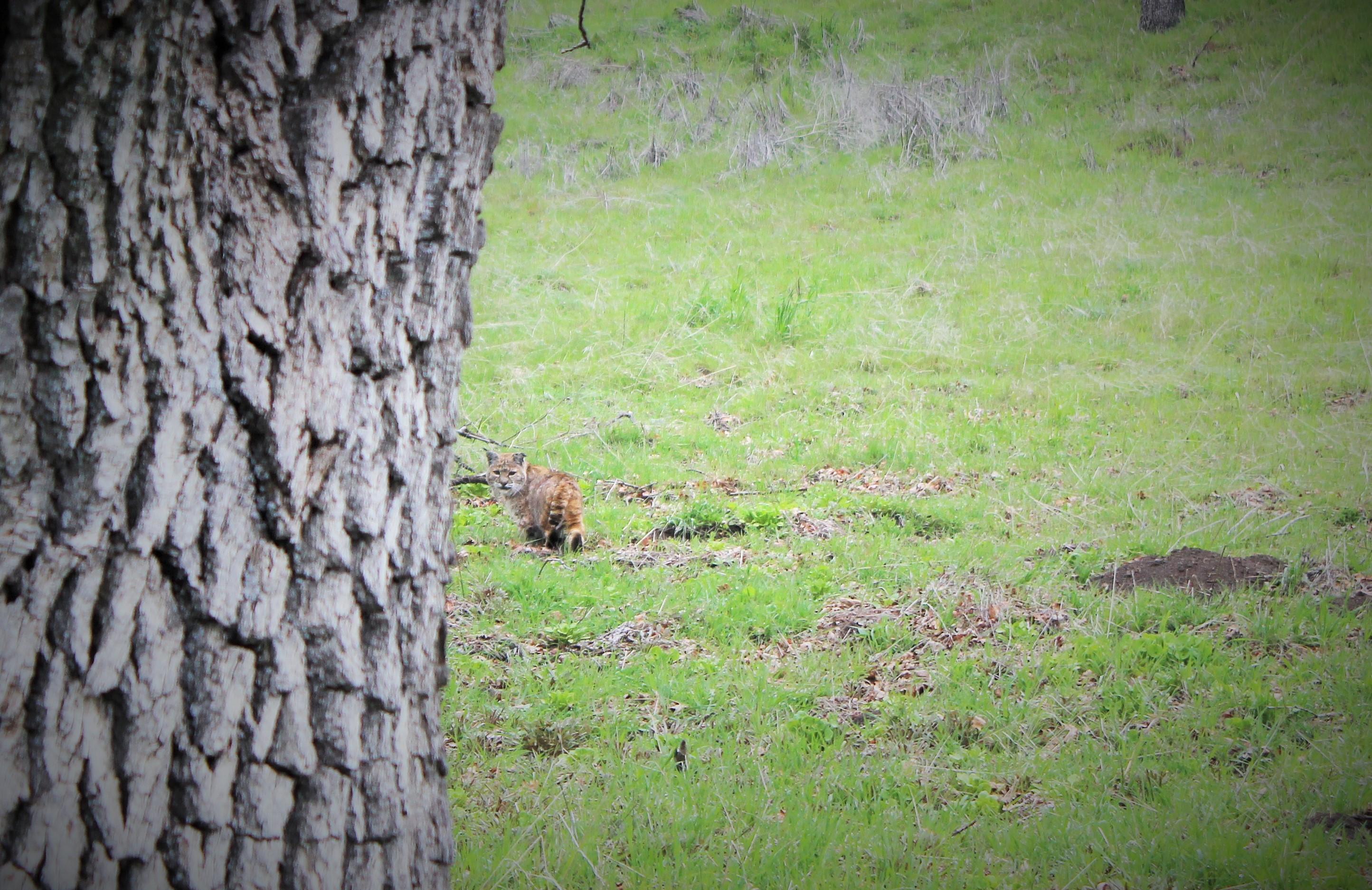 Nature Called Me Home