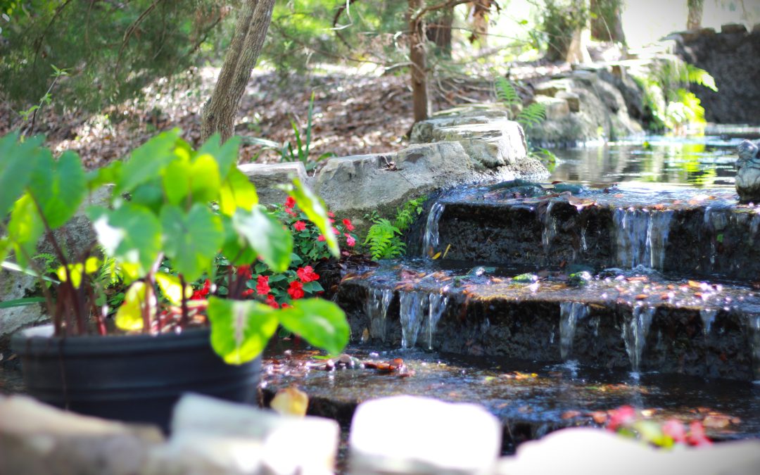 When the Well Runs Dry